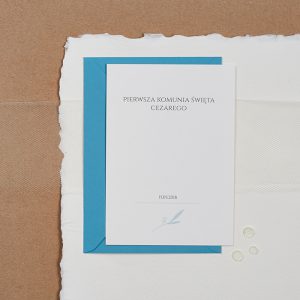 zaproszenia slubne papierowagruszka warszawa niebieski listek 7 300x300 - Untitled Session0189 -