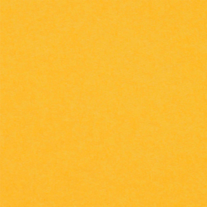 zaproszenia slubne papierowagruszka warszawa podloza 13 300x300 - indian yellow -